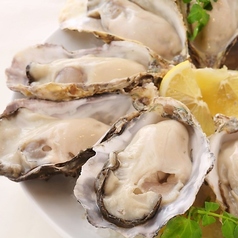 The Oyster Bar Kobeの写真2