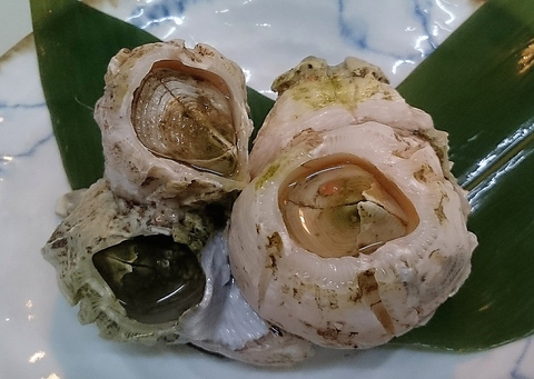 青森 居酒屋 の フジツボ 特集 グルメ レストラン予約 ホットペッパーグルメ