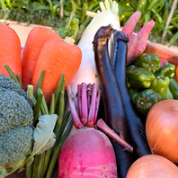 毎週届く生産者直送の旬野菜を一皿に。