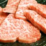 「リブ上カルビ」人気NO.1!!塩焼きおすすめメニュー。