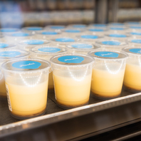 パステルならではの【なめらかプリン】