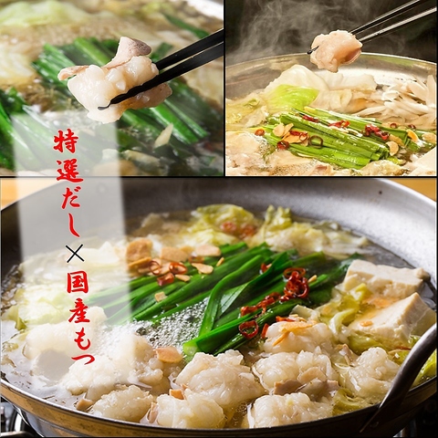 活いか、もつ鍋、水炊きを楽しむ九州の産地直送型、博多食専門店「酔灯屋天神店」