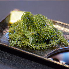 (沖縄料理！) &nbsp;県産海ぶどう