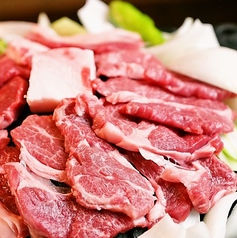 北海道ジンギスカン 羊肉専門店 七桃星 なもせの特集写真