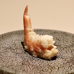 絶倫エビ