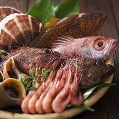 岐阜小町の写真