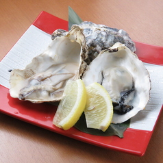 地下の和食酒場 GOTENPOの特集写真