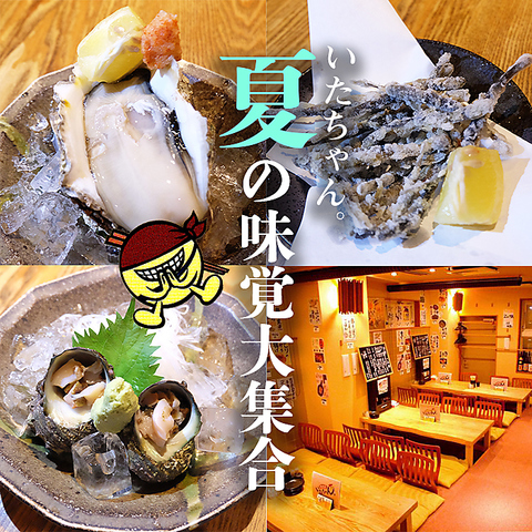 居酒屋いたちゃんです。★旨い酒と肴をリーズナブルにご提供！真心込めたおもてなし♪