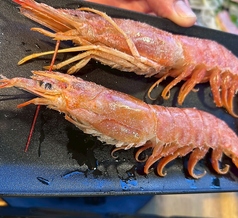 有頭えび(1尾)