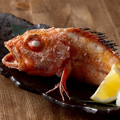 北海道産 きんき 一尾