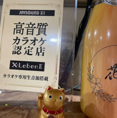 カラオケ居酒屋 花 新世界の雰囲気3
