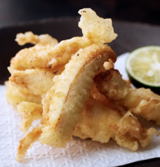 大分名物とり天/葱まみれ油淋鶏