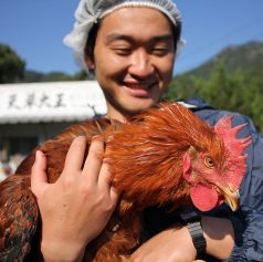 天草大王の鶏舎訪問