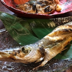 カマス