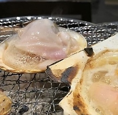 天然 はまぐり (1個) (100gサイズ)/(お得な150gUpサイズ)