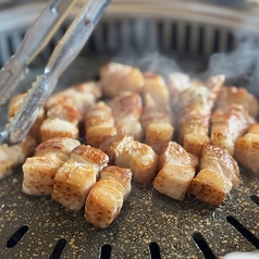 らくだ2号 静岡駅前店のコース写真