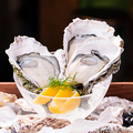 料理メニュー写真&nbsp;厳選 本日の生牡蠣 夏は岩牡蠣！冬は真牡蠣！