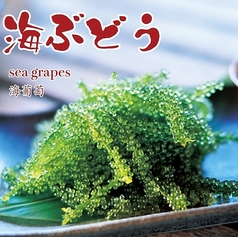 海ぶどう