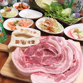 【豊富な本場韓国料理】6種類の高知野菜と鹿児島産豚肉を使用！他にも、チュクミサムギョプサル、手作りボッサム、新大久保モッパンセット、明同チーズタッカルビ、特製冷麺など本場の韓国料理をご用意！