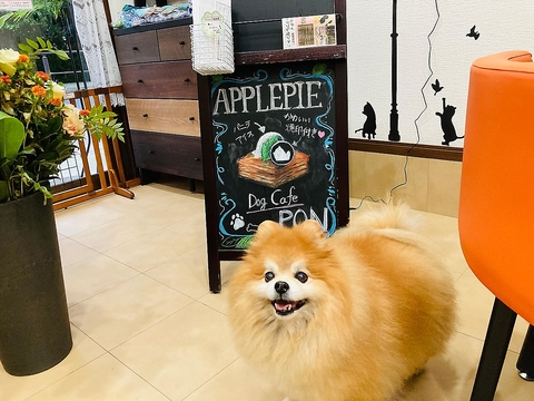 Dog Cafe Pon ドッグカフェ ポン 和光市 カフェ スイーツ ネット予約可 ホットペッパーグルメ