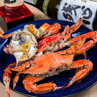 漁港直送の鮮度を堪能！その日一番美味しい旬魚をご提供