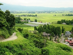 深雪花 360ml 〈赤・白〉 各