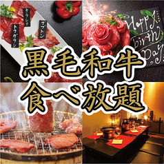 黒毛和牛一頭買い　個室焼肉　食べ放題　川畜(かわちく)　鹿児島天文館店特集写真1