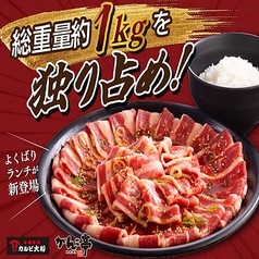 おひとり様用“欲張り焼肉ランチ”が新登場