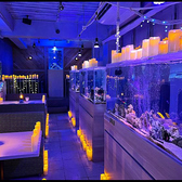 アクアリウムダイニング　サカナノセカイ　小倉店の写真