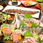 ここちや本店 宮崎地鶏や海鮮や鰻やらの写真