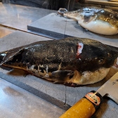 ふぐゐちのおすすめ料理2