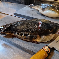 ふぐゐちのおすすめ料理2