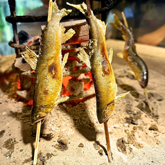 【夏季限定】鮎の原始焼き