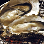 厚岸産の殻付き牡蠣が、1ヶ税抜550円！