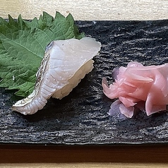 サワラ