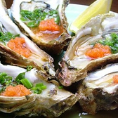 旬の食材を仕入れてます！あん肝入りスープのあんこう鍋、あん肝、生ガキ、旬のお刺身・たたき、がおすすめです★もちろんお肉料理も絶品！