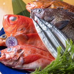 季節に合わせた地魚にこだわっております☆