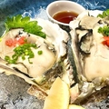 料理メニュー写真 天草天領岩牡蠣