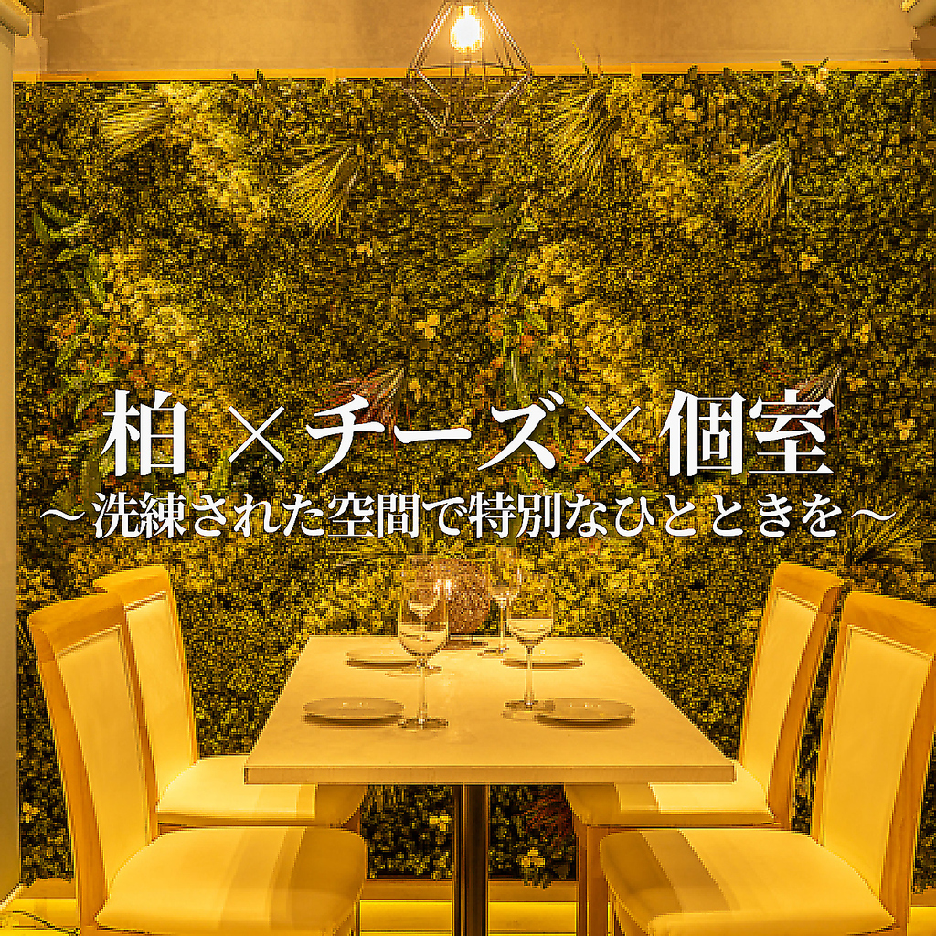 柏/居酒屋/駅チカ/女子会/イタリアン/個室/誕生日/デート/合コン/喫煙可/肉バル/飲み放題/宴会/ピザ