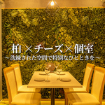 柏/居酒屋/駅チカ/女子会/イタリアン/個室/誕生日/デート/合コン/喫煙可/肉バル/飲み放題/宴会/ピザ