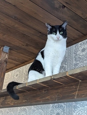ねこたまご+cafe(札幌市東区/カフェ・スイーツ) | ホットペッパーグルメ
