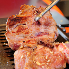 ミリネヤンコプチャン 大阪福島店の特集写真