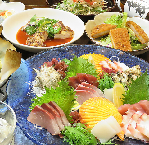 お魚料理は『うお座』におまかせ！日向灘獲れの鮮魚や宮崎の郷土料理が味わえるお店♪