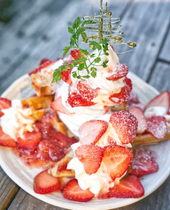 19HITOYASUMI イッキュウヒトヤスミ 南砺店のコース写真