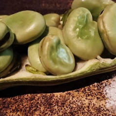 そら豆の塩ゆで