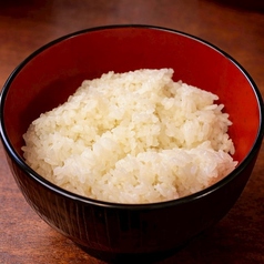 ご飯