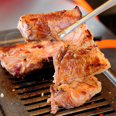 ミリネヤンコプチャン 大阪福島店特集写真1