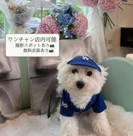 わんちゃん無料衣装も貸し出し