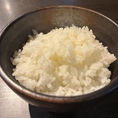 ごはん