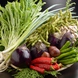 食材へのこだわり…お野菜も新鮮なものばかり！